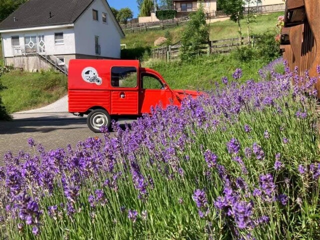 Herberg Hutterscheiderhof lavendel
